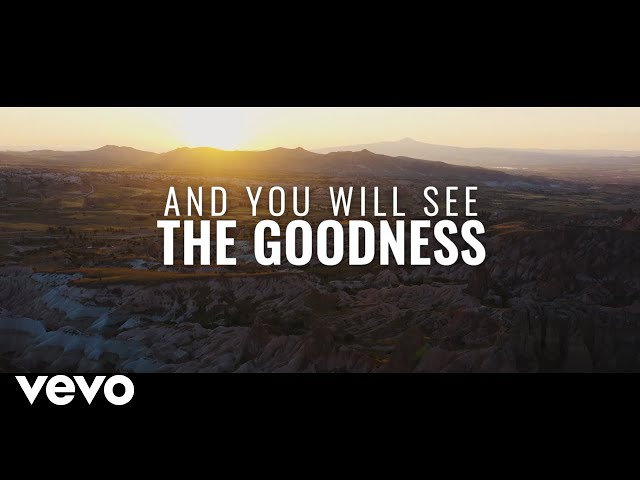 See The Goodness by VaShawn Mitchell - Download Mp3 with Lyrics